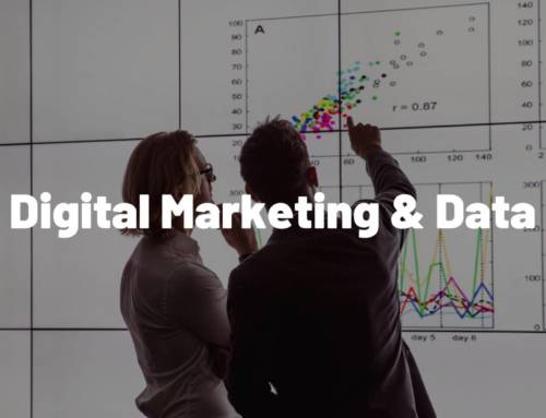 Digital Marketing & Data: Cum arată o organizație modernă